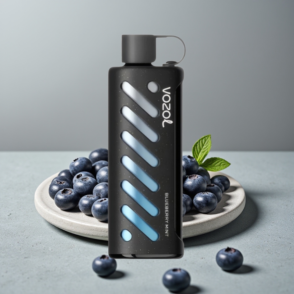 VOZOL Gear Shisha 25000 Puffs Dual Mesh 5mg Blueberry Mint
