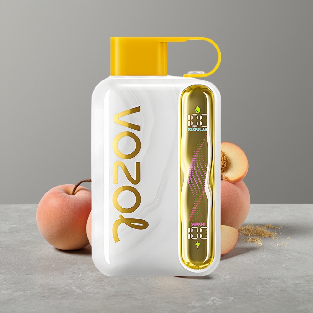 VOZOL STAR 40000 Puffs 1000mAh Type-C Mango Peach