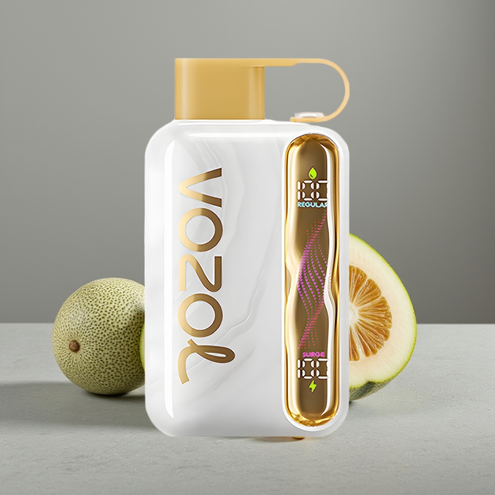 VOZOL STAR 40000 Puffs 1000mAh Type-C Melon Gum