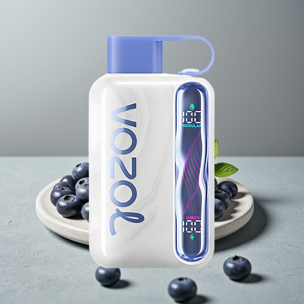 VOZOL STAR 40000 Puffs Einweg-Vape 1000mAh Type-C Blueberry Mint