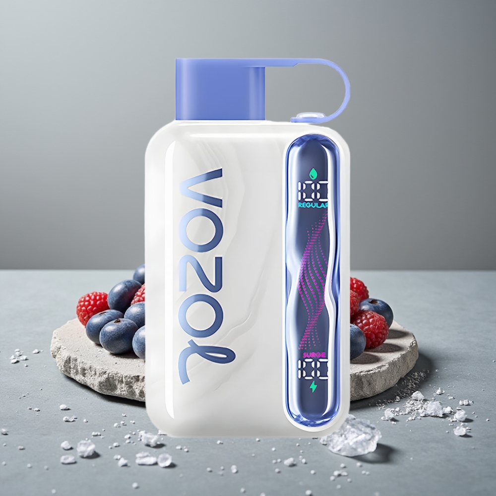VOZOL STAR 40000 Puffs Einweg-Vape Blue Razz Ice 1000mAh Typ-C