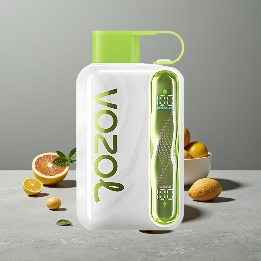 VOZOL STAR 40000 Puffs Einweg-Vape Cool Mint 1000mAh Typ-C