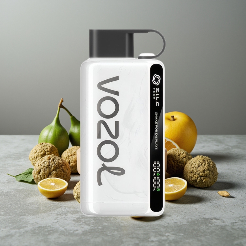 VOZOL STAR 9000/12000 Einweg-Vape mit S.i.L.C TECH & Recycling VOZOL STAR 9000/12000 Einweg-Vape mit S.i.L.C TECH & Recycling