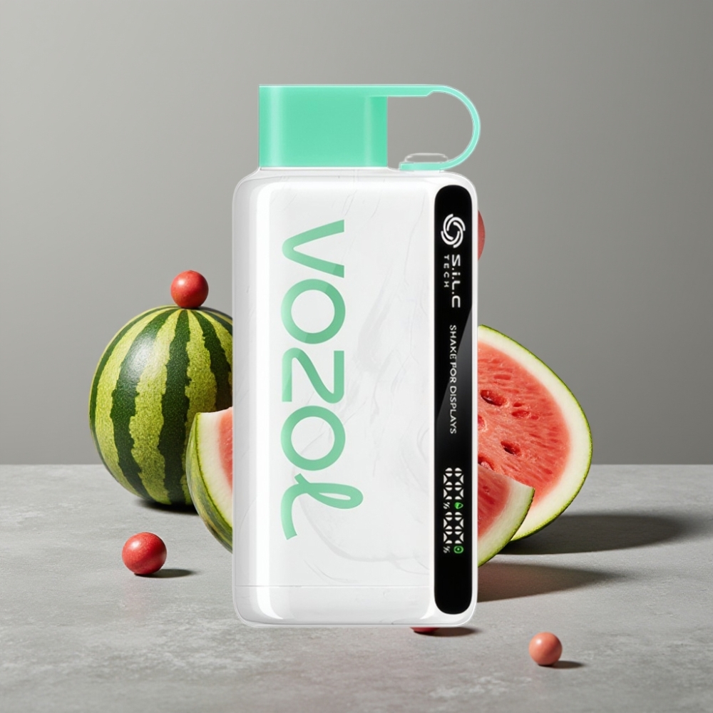 VOZOL STAR 9000/12000 Einweg-Vape mit S.i.L.C TECH & Schnellladung VOZOL STAR 9000/12000 Einweg-Vape mit S.i.L.C TECH & Schnellladung