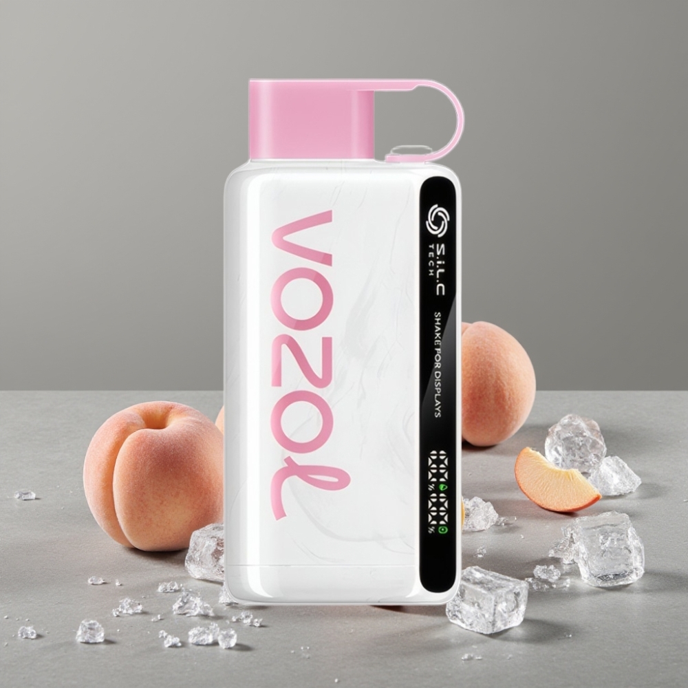 VOZOL STAR 9000/12000 S.i.L.C TECH Schnellladung 650mAh Peach Ice