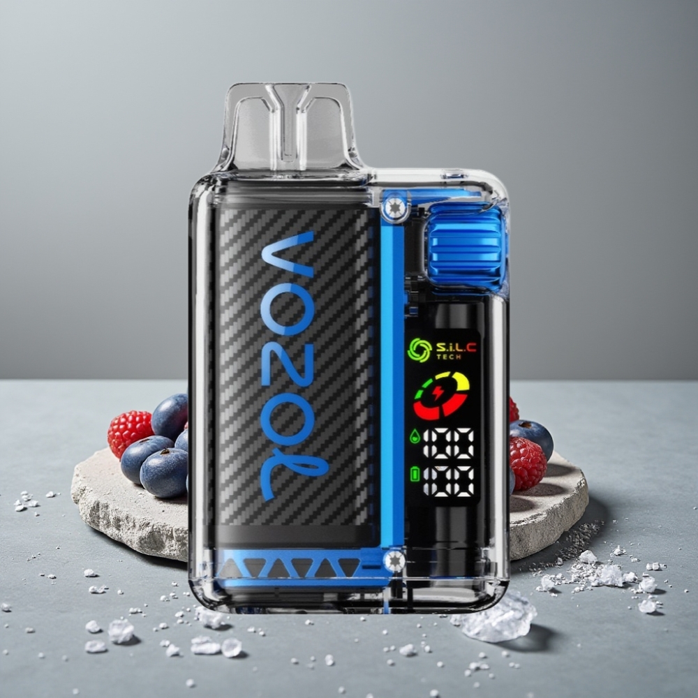 VOZOL Vista 20000 Puffs Rechargebar mit OLED & 650mAh Akku